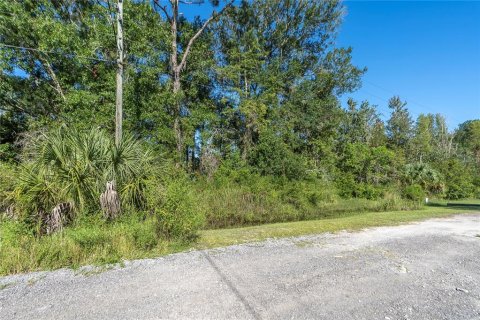 Terreno en venta en Wesley Chapel, Florida № 1380746 - foto 3