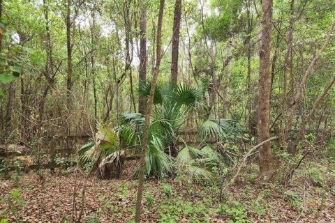 Terreno en venta en Weirsdale, Florida № 1308128 - foto 1