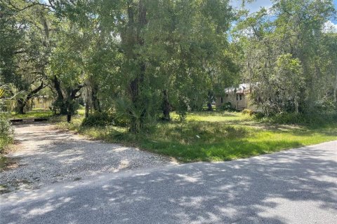 Terreno en venta en Tampa, Florida № 1391121 - foto 3