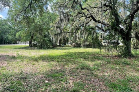 Terreno en venta en Tampa, Florida № 1391121 - foto 7