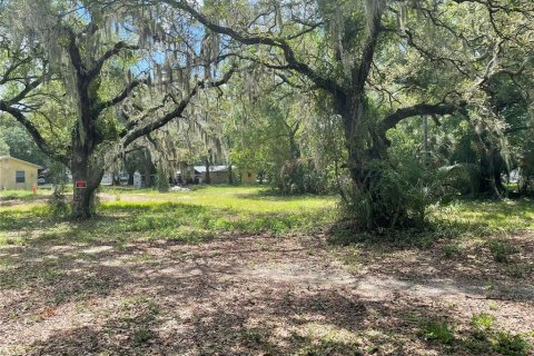 Terreno en venta en Tampa, Florida № 1391121 - foto 6