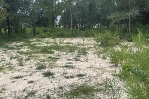 Terrain à vendre à Keystone Heights, Floride № 1346092 - photo 6