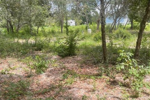 Terreno en venta en Keystone Heights, Florida № 1346092 - foto 8