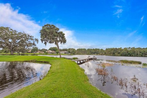 Villa ou maison à vendre à Lutz, Floride: 4 chambres, 324.6 m2 № 1356333 - photo 5