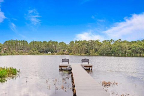 Villa ou maison à vendre à Lutz, Floride: 4 chambres, 324.6 m2 № 1356333 - photo 4