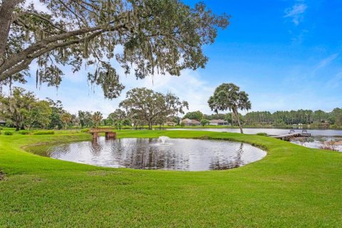 Villa ou maison à vendre à Lutz, Floride: 4 chambres, 324.6 m2 № 1356333 - photo 3