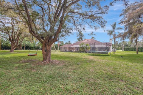 Villa ou maison à vendre à Wellington, Floride: 6 chambres, 398.74 m2 № 1061113 - photo 14