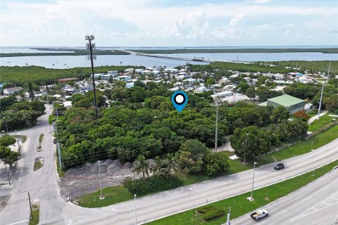 Propiedad comercial en venta en Key Largo, Florida № 1282211 - foto 9