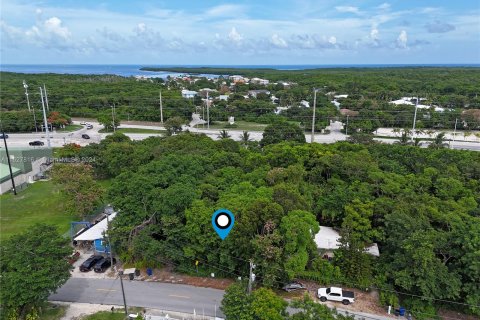 Immobilier commercial à vendre à Key Largo, Floride № 1282211 - photo 5