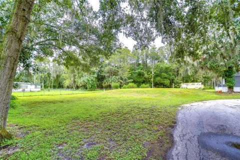 Propiedad comercial en venta en Land O' Lakes, Florida № 1357740 - foto 19