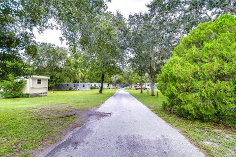 Propiedad comercial en venta en Land O' Lakes, Florida № 1357740 - foto 8