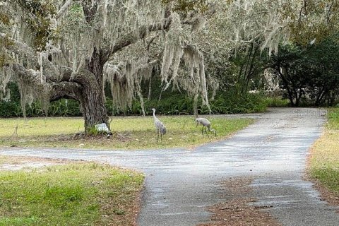 Terreno en venta en Hudson, Florida № 1323712 - foto 2