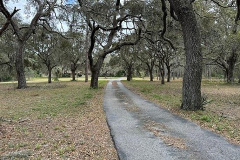 Terreno en venta en Hudson, Florida № 1323712 - foto 3