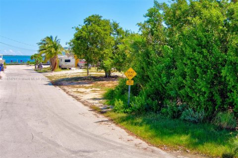 Terreno en venta en Big Pine Key, Florida № 1398265 - foto 7