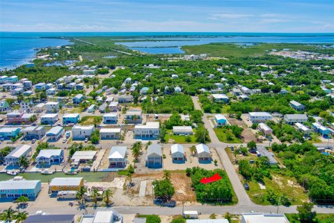 Terreno en venta en Big Pine Key, Florida № 1398265 - foto 10