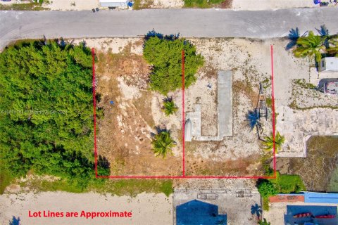 Land in Big Pine Key, Florida № 1398265 - photo 4