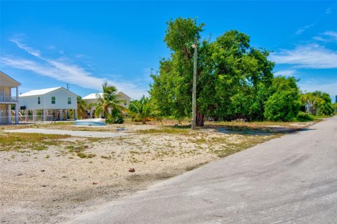 Terreno en venta en Big Pine Key, Florida № 1398265 - foto 5