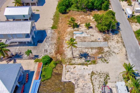 Terreno en venta en Big Pine Key, Florida № 1398265 - foto 3