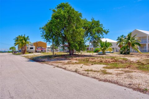 Terreno en venta en Big Pine Key, Florida № 1398265 - foto 6