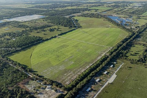 Immobilier commercial à vendre à Clewiston, Floride № 1398174 - photo 29