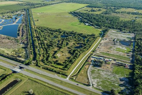 Immobilier commercial à vendre à Clewiston, Floride № 1398174 - photo 20