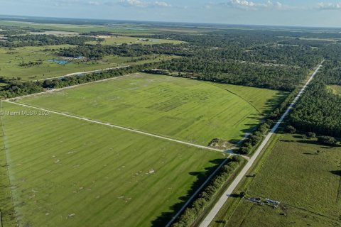 Commercial property in Clewiston, Florida № 1398174 - photo 25