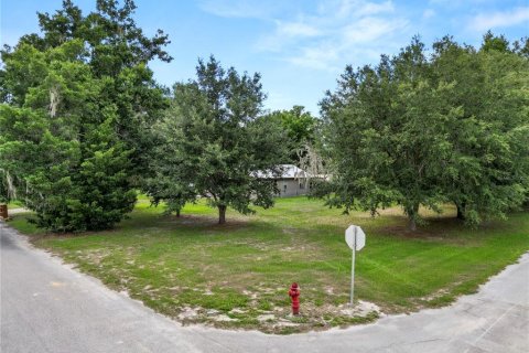 Villa ou maison à vendre à Fort Meade, Floride: 2 chambres, 88.26 m2 № 1254740 - photo 22