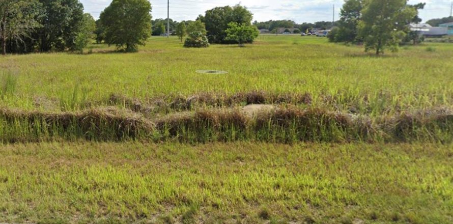 Terreno en Ocala, Florida № 1430533