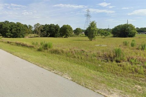 Terreno en venta en Ocala, Florida № 1430533 - foto 2