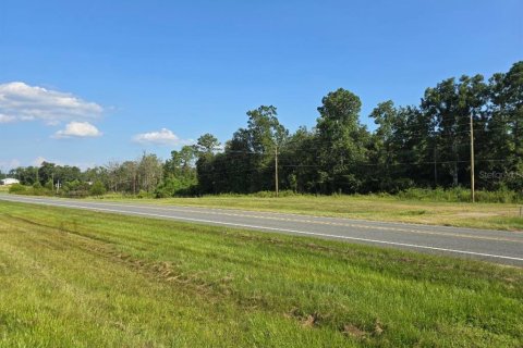 Terreno en venta en Marianna, Florida № 1320545 - foto 1