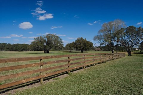 Terrain à vendre à Ocala, Floride № 1376939 - photo 10