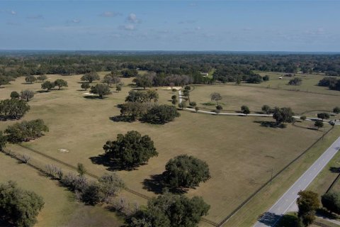 Terrain à vendre à Ocala, Floride № 1376939 - photo 13