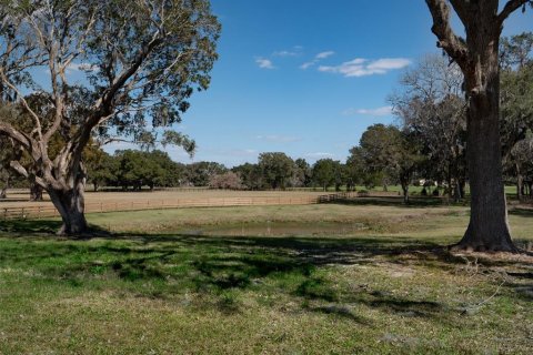 Terrain à vendre à Ocala, Floride № 1376939 - photo 8