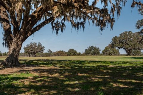 Terrain à vendre à Ocala, Floride № 1376939 - photo 5