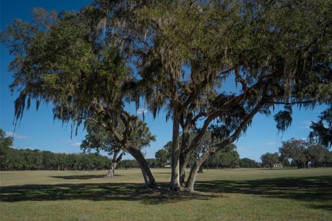 Terrain à vendre à Ocala, Floride № 1376939 - photo 12