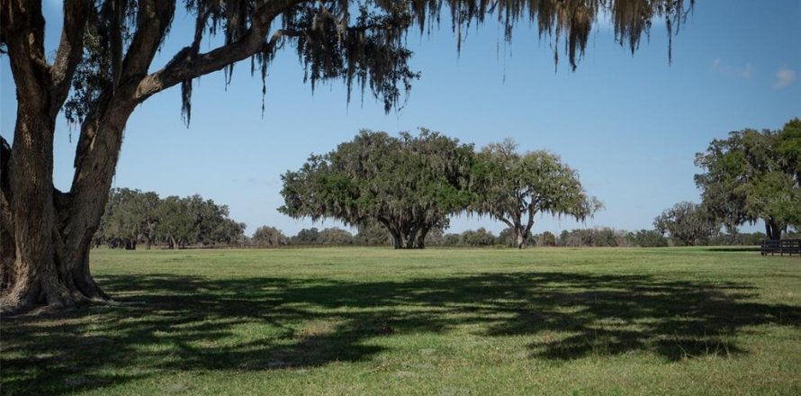 Terrain à Ocala, Floride № 1376939