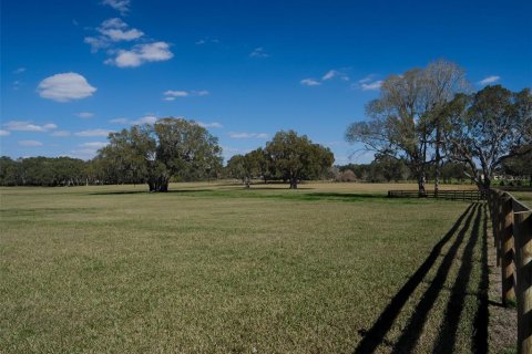 Terrain à vendre à Ocala, Floride № 1376939 - photo 11