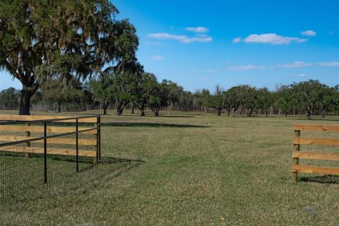 Terrain à vendre à Ocala, Floride № 1376939 - photo 9