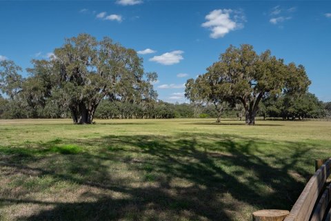 Terrain à vendre à Ocala, Floride № 1376939 - photo 7