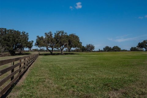 Terreno en venta en Ocala, Florida № 1376939 - foto 3