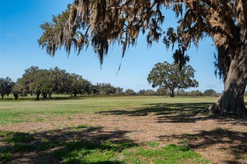 Terrain à vendre à Ocala, Floride № 1376939 - photo 6