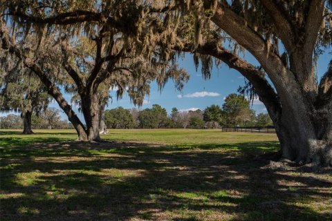 Terrain à vendre à Ocala, Floride № 1376939 - photo 4