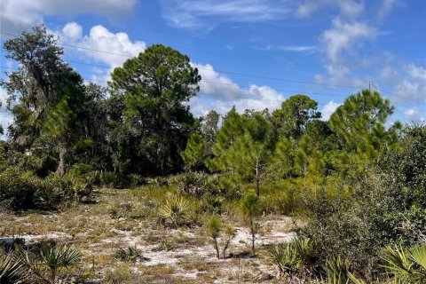 Land in Sebring, Florida № 1335901 - photo 22