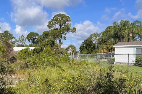 Terreno en venta en Sebring, Florida № 1335901 - foto 23