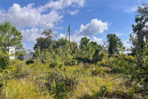 Terreno en venta en Sebring, Florida № 1335901 - foto 29