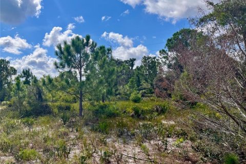 Land in Sebring, Florida № 1335901 - photo 25