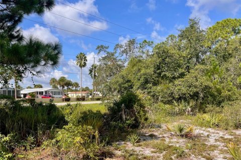 Terreno en venta en Sebring, Florida № 1335901 - foto 30