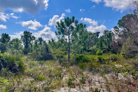 Land in Sebring, Florida № 1335901 - photo 26