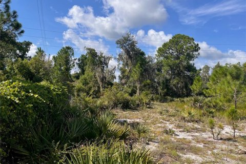 Land in Sebring, Florida № 1335901 - photo 21