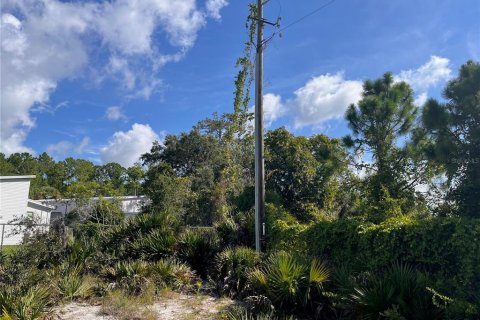 Land in Sebring, Florida № 1335901 - photo 20